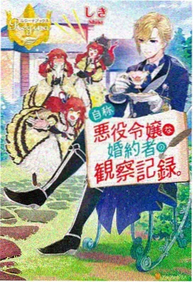 家教漫画境界体系觉醒阶段示意图